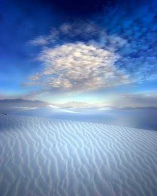One Day, Alone in the White Desert