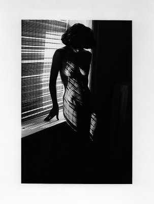 Blinds by Hildy Pincus Kronen. Honorable Mention