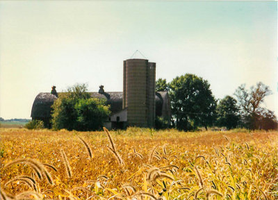 Farm DeKalb County, Illinois NW.jpg