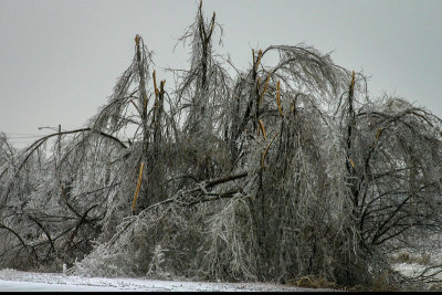 2005 Wichita Ice Storm 02 MU.jpg