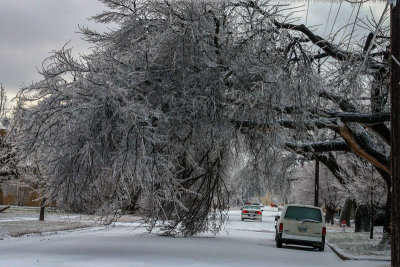 2005 Wichita Ice Storm 03 MU.jpg
