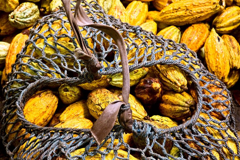 Cacao in a Basket