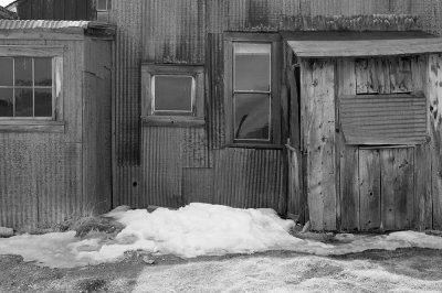 03252007-Bodie-ZP-109-BW