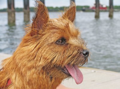 Remley at Remley's Point