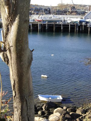 little blue boat