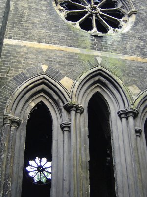 vii