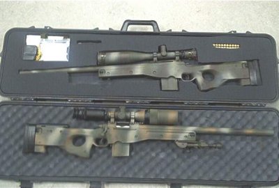 Remington700's AICS