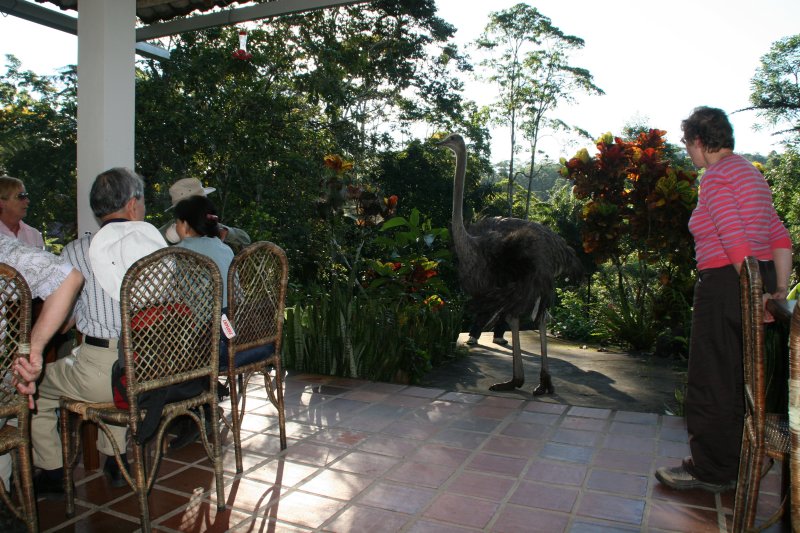 surprise visitors at breakfast table