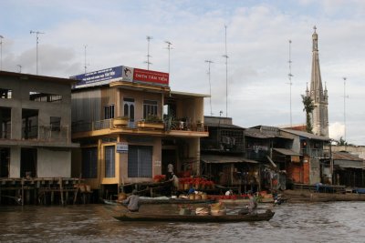 village life in Mekong Delta
