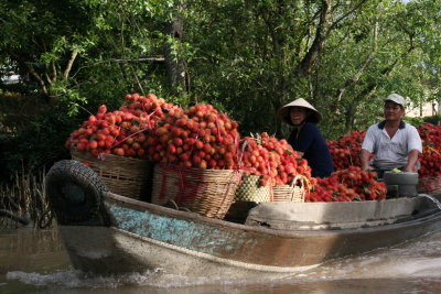 lots of rambutans!