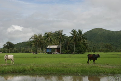 rural south Cambodia