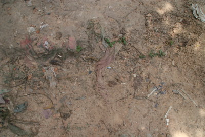 clothes of the victims can still be found in the ground