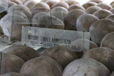 skulls of females 40-60 years