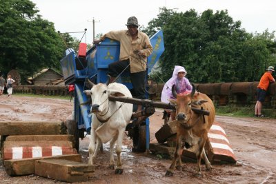 Ox-cart stuck on old Khmer bridge