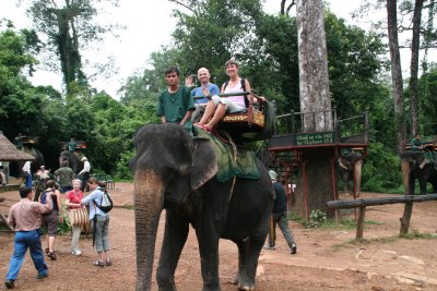 by elephant to Phnom Bakhang