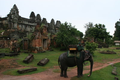 by elephant to Phnom Bakhang