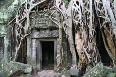 Ta Phrom will be forever known as the temple where Angelina Jolie filmed Lara Croft - Tomb Raider movie
