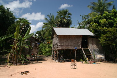 Cambodian country house and sugar palm trees