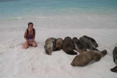was really looking forward to see the beach full of sealions