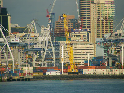 Yellow Crane.jpg