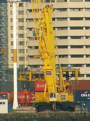 Yellow Crane 600x800 px crop.jpg