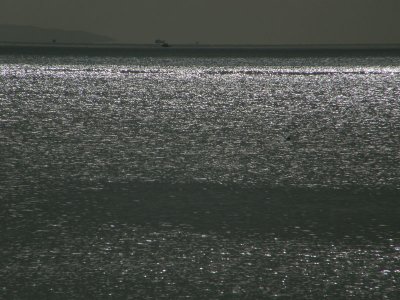 Sparkling Sea.jpg