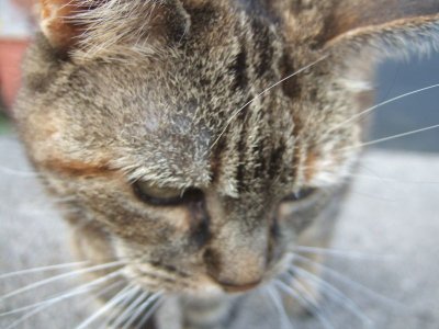 Jemima begins her photoshoot.