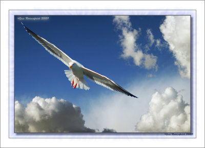 A Combination Of Love & Clarity Soaring On Valentine's Day