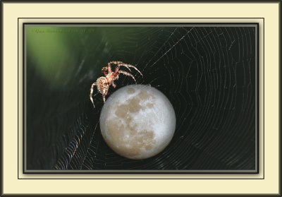 Fredericka Hangs The Moon For 'Someone' ;-)