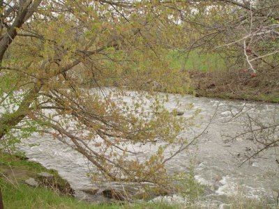  Giòng suối -- Water stream
