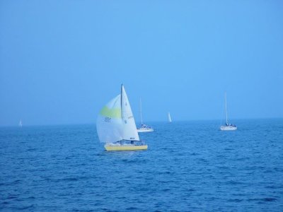 Cánh buồm căng gió - Full sail
