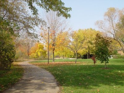 Lá mùa thu - Autumn leaves