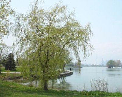 Bờ hồ - Lake shore