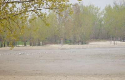Bờ hồ - Lake shore