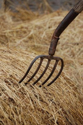 Pitch Fork