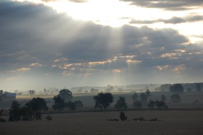 Sunshine on Farms