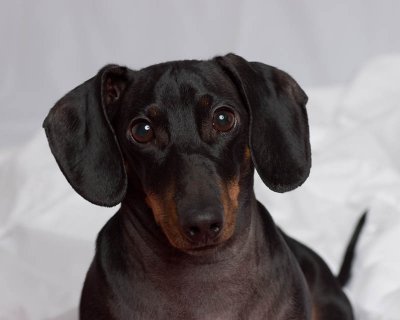 Max01.jpg