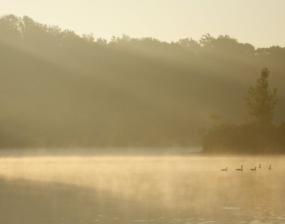 IMG_0409.JPG
