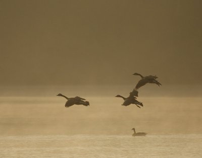 IMG_0420.JPG