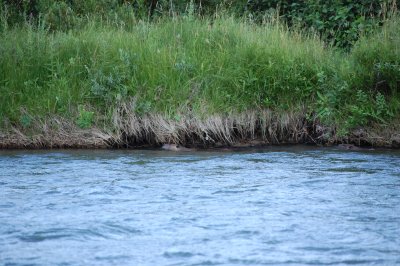 DSC_1280.JPG