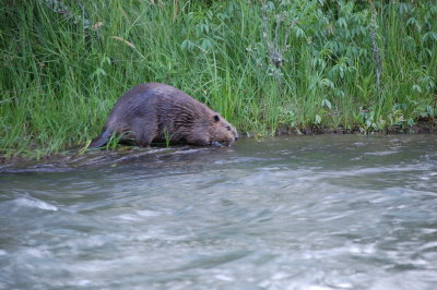 DSC_1324.JPG