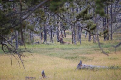 DSC_1476.JPG