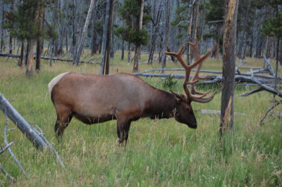 DSC_1500.JPG