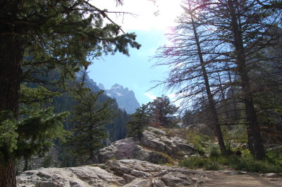 DSC_1547.JPG