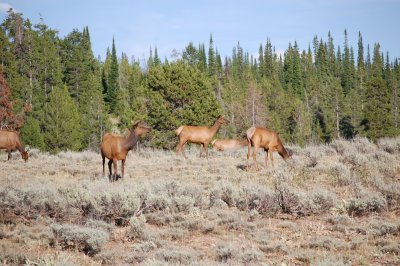 DSC_1572.JPG