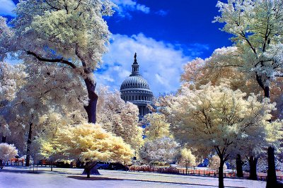 Washington DC in Infrared