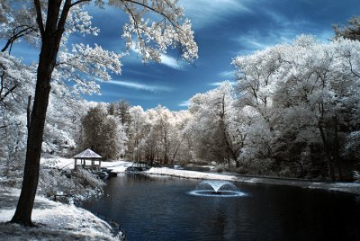 Pond 2.jpg