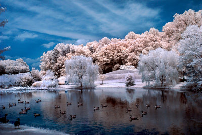 Goose Pond .jpg