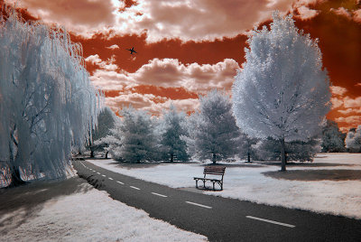 The Bench and the Plane.jpg