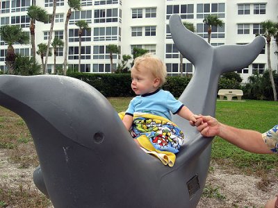 Riding the beach dolphin